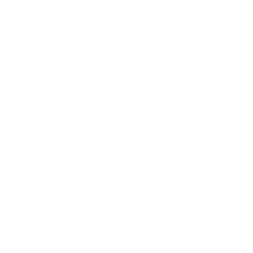 Crota's End Raid