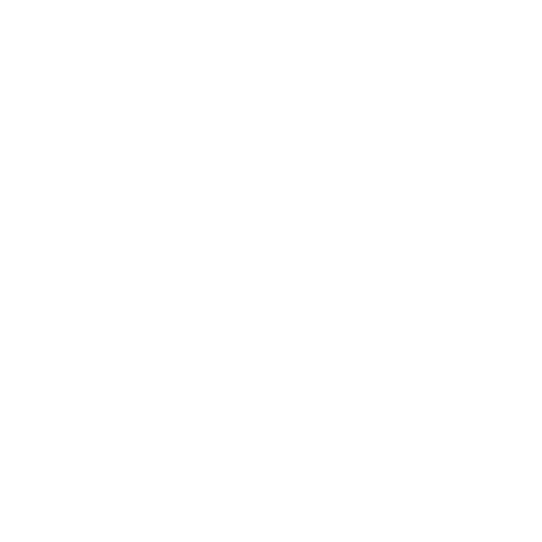 Deep Stone Crypt Raid